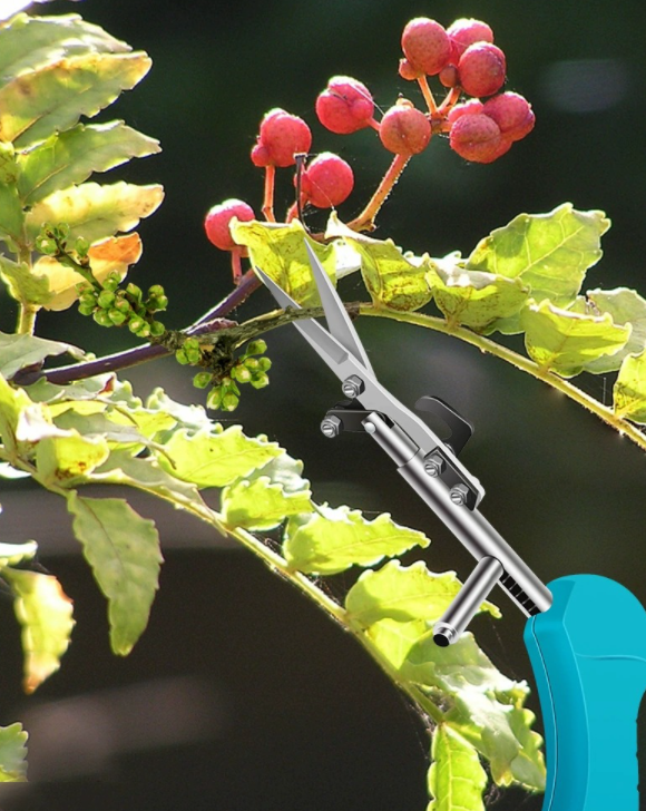Mini Scissors Lightweight Small Picking Shears Pruning Shears Stainless Steel Fruits And Flowers Shears