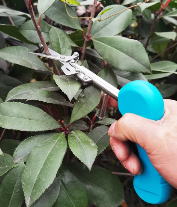 Mini Scissors Lightweight Small Picking Shears Pruning Shears Stainless Steel Fruits And Flowers Shears