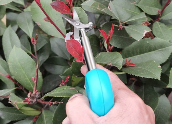 Mini Scissors Lightweight Small Picking Shears Pruning Shears Stainless Steel Fruits And Flowers Shears