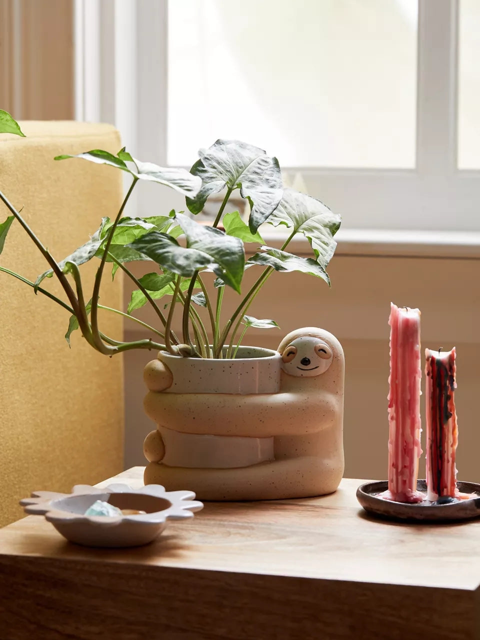 Cute, Creative And Green Plant Potted Plants
