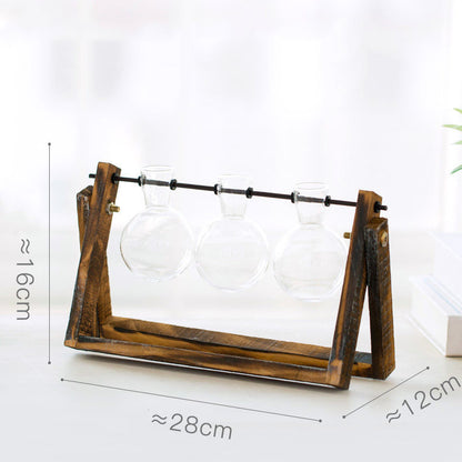 Transparent wooden frame for hydroponic plants