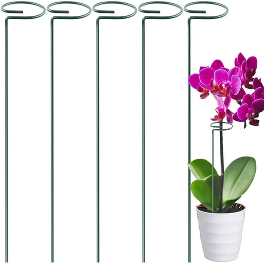 Plant Stake Support