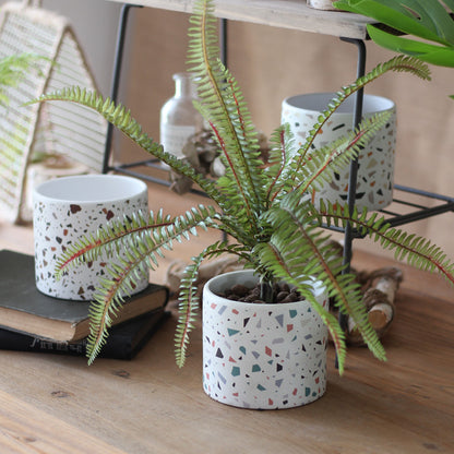 Balcony succulents round flower pots