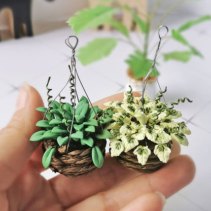 Household Mini Hanging Basket Green Plant