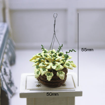 Household Mini Hanging Basket Green Plant