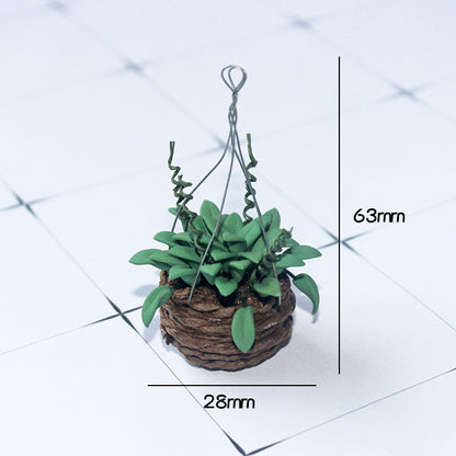 Household Mini Hanging Basket Green Plant