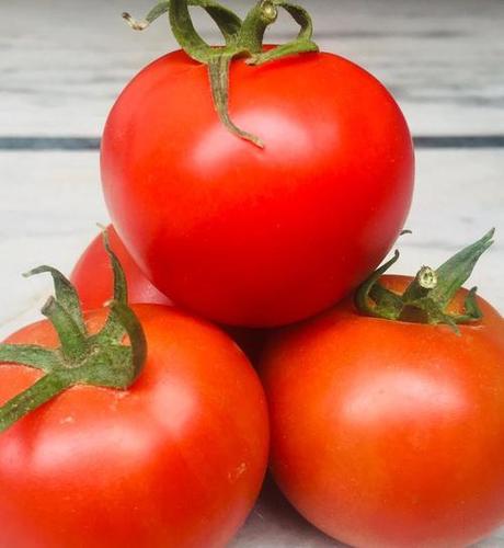 200+ Tomato seeds, Large Red Cherry Tomato Seeds, Tomatoes Vegetable Fruit Seeds-9