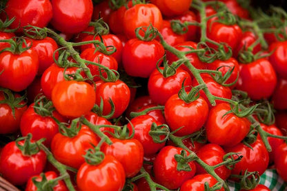 200+ Tomato seeds, Large Red Cherry Tomato Seeds, Tomatoes Vegetable Fruit Seeds-12